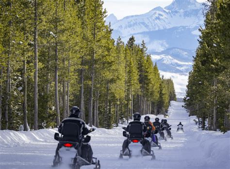 6 Best Yellowstone Snowmobile Tours For The Money In 2024