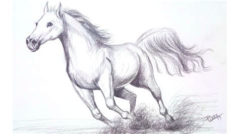 Galloping Horse Sketch