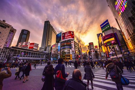 20 best free things to do in Tokyo - Lonely Planet