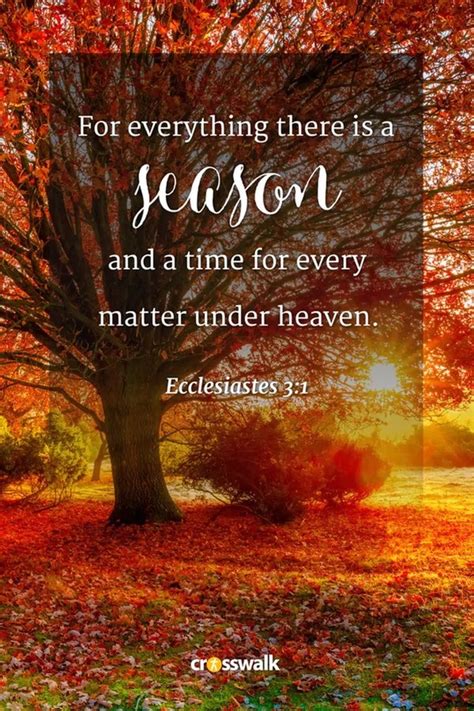 15 Beautiful Fall Bible Verses for the Autumn Season - Bible Study