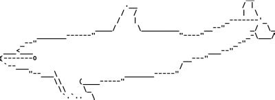 Animal ascii art