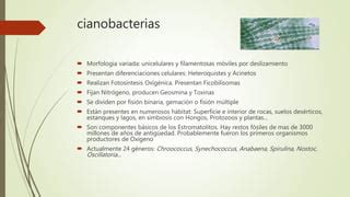 Microorganismos fotosintéticos | PPT