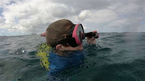 Grace Bay Turks and Caicos Snorkeling Trip. March 2019 - YouTube