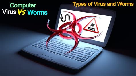 Computer Virus Definition | Examples and Forms