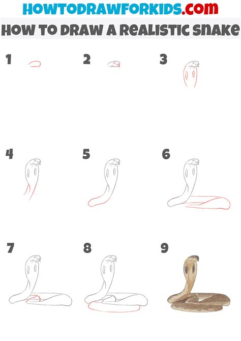 How to Draw a Snake - Easy Drawing Tutorial For Kids