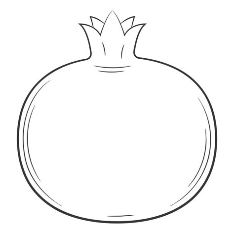 Pomegranate. fruit in a linear style. Black and white vector decorative ...