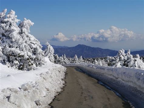 Troodos mountains, Cyprus | Cyprus island, Cyprus holiday, Cyprus