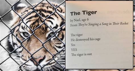 This short poem written about a tiger by a six y/o might just become ...