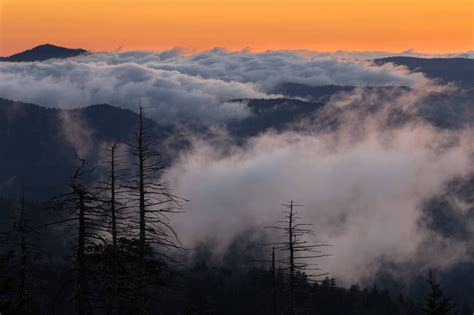 Clingmans Dome is open now - and local... - Gatlinburg Falls Resort ...