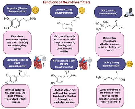 Neurotransmitters Regulation and Food Intake: The Role of Dietary ...