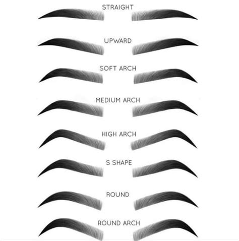 To get the best ⭐EYEBROW SHAPES⭐, an individual must first take note of ...