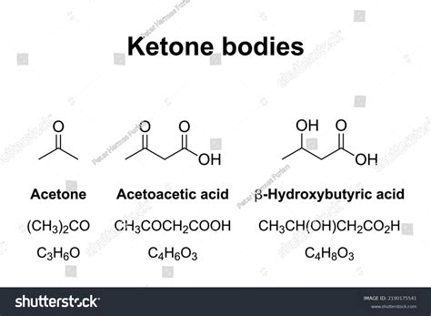 Ketone Bodies Chemical Formulas Watersoluble Molecules Stock Vector ...