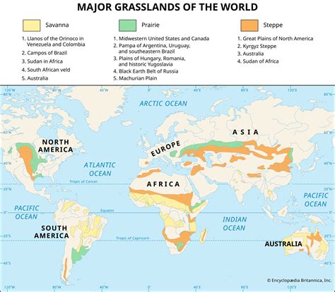 Grassland In Africa Map