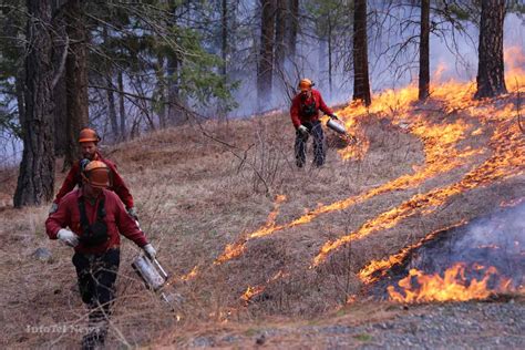 IN PICTURES: Why a controlled burn? | iNFOnews | Thompson-Okanagan's ...