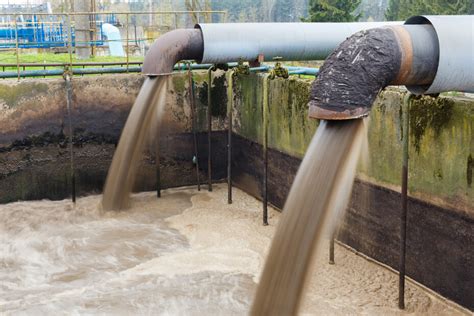 Sludge management | Wastewater treatment | Novozymes