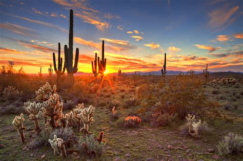 Top Things to Do in Surprise, Arizona - White Tank Properties