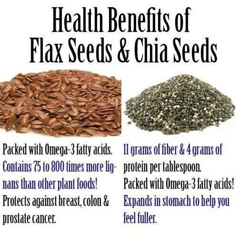 Food Health Benefits, Chia Seeds Benefits, Health Diet, Health And ...