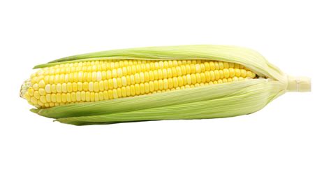 Corn Cob Png Clipart Png Download