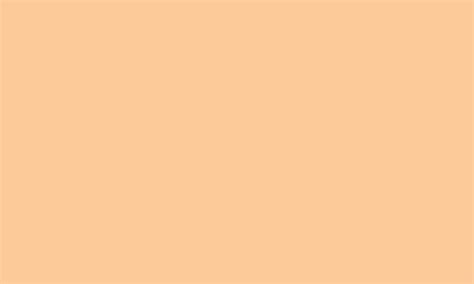 Pastel orange solid color landscape vector background 9506020 Vector ...