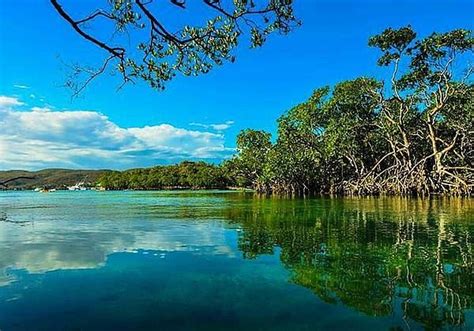 THE BEST Guanica Forests (Updated 2023) - Tripadvisor