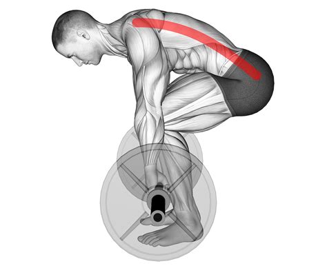 Lower Back Rounding Deadlift: How to Fix! - Inspire US