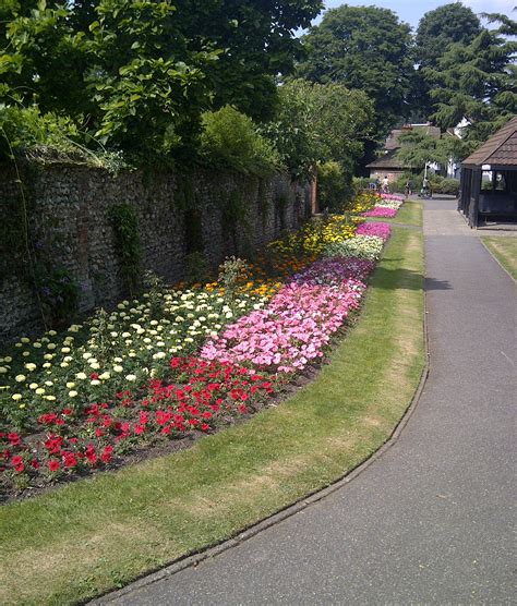 Volunteers get together to help maintain Croydon’s park life | Inside ...