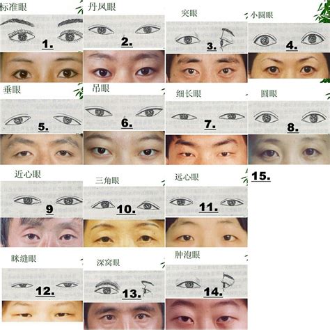 Types Of Asian Eyes