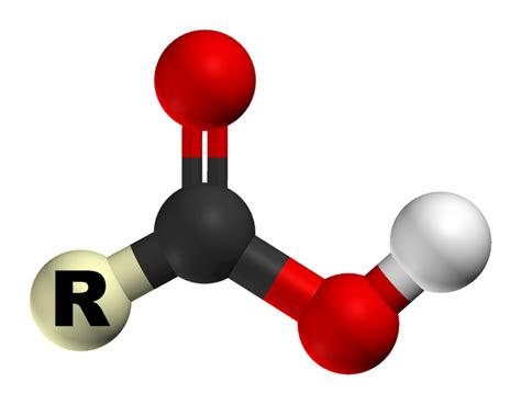 Carboxylic acid - wikidoc