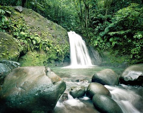 Guadeloupe Waterfalls | One of many Guadeloupean waterfalls.… | Flickr