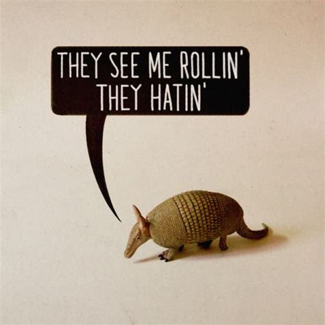 Armadillo Funny Pictures With Quotes. QuotesGram