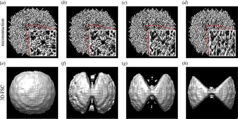 Reconstructions of a simulated apoferritin molecule from tilt series ...