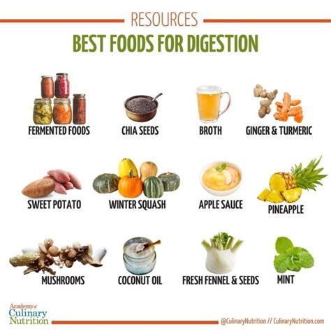 14 Best Foods for Digestion | Foods good for digestion, Food for ...