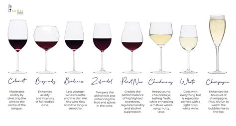 How Your Wine Glass Shape Affects Taste, 58% OFF