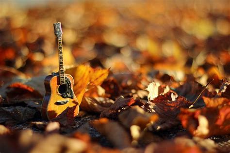 Guitar and Fall | Songs, Rainy day, Fall colors