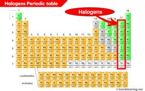 Halogens Periodic Table (With Images)