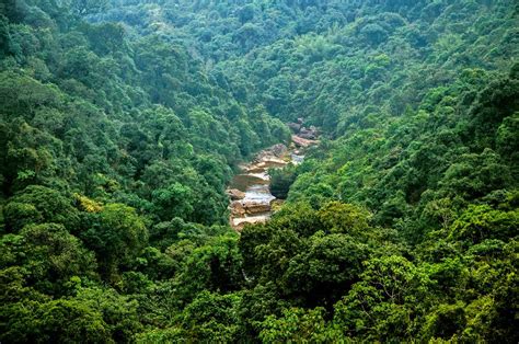 North Indian Tropical Forests & Sundarbans (IM6) | One Earth