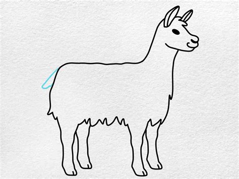 Llama Drawing - HelloArtsy