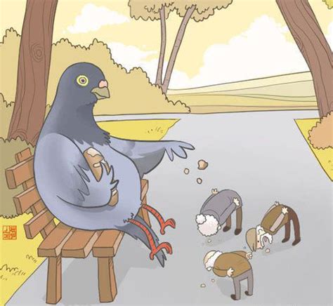 Funny pigeon cartoon - VJ CX