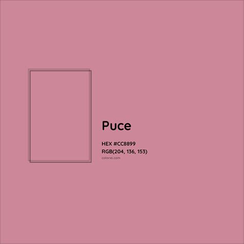 Puce Complementary or Opposite Color Name and Code (#CC8899) - colorxs.com