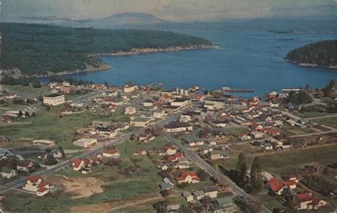 Friday Harbor aerial View Washington Postcard