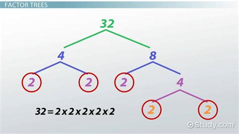 What is a Prime Factor? - Lesson for Kids - Lesson | Study.com