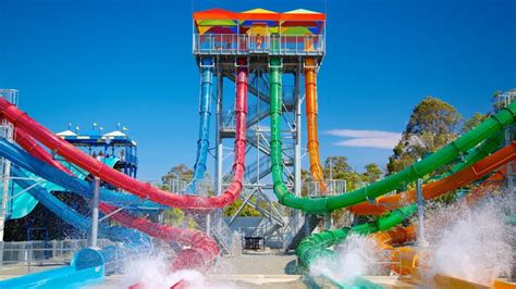 Gold Coast Theme Parks & Tours - Gold Coast