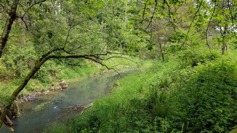 Stone Creek Hiking Trail - Oregon | AllTrails