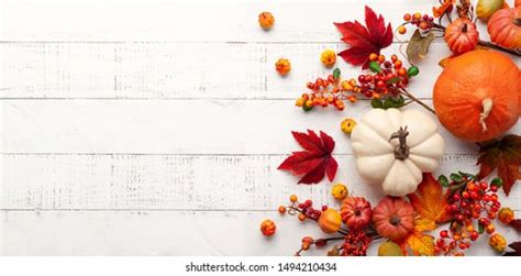 Thanksgiving Royalty-Free Images, Stock Photos & Pictures | Shutterstock