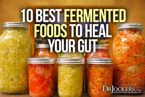 Top 10 Best Fermented Foods to Heal Your Gut - DrJockers.com