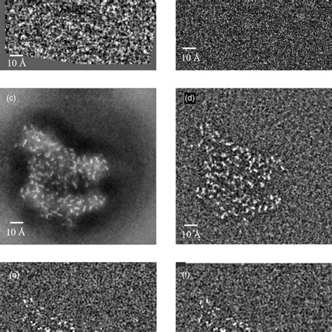 (a) Simulated defocused image of apoferritin structure embedded in ...