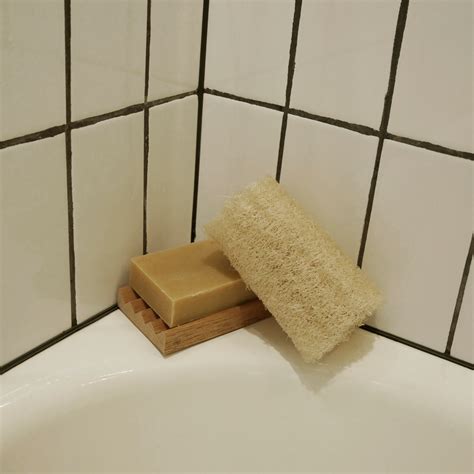 Home Grown Loofah Sponge | Zero Waste Home + Body | TheGoodFill.co ...