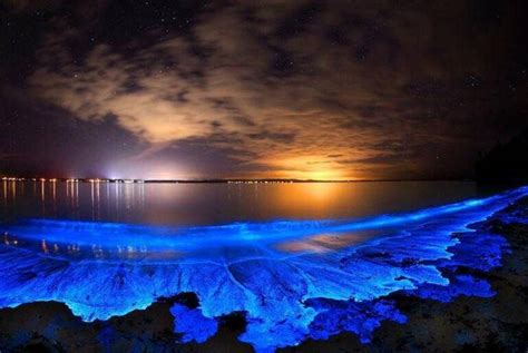 Explore The Sparkling Sea Of Stars In The Maldives