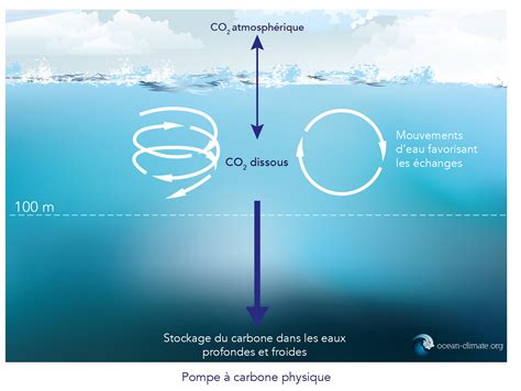 L’océan, puits de carbone – Plateforme Océan & Climat