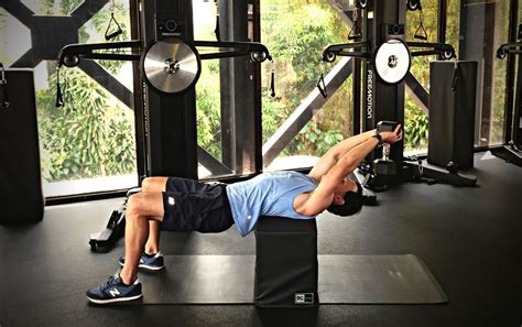 The 9 Best Dumbbell Back Exercises To Build Strength